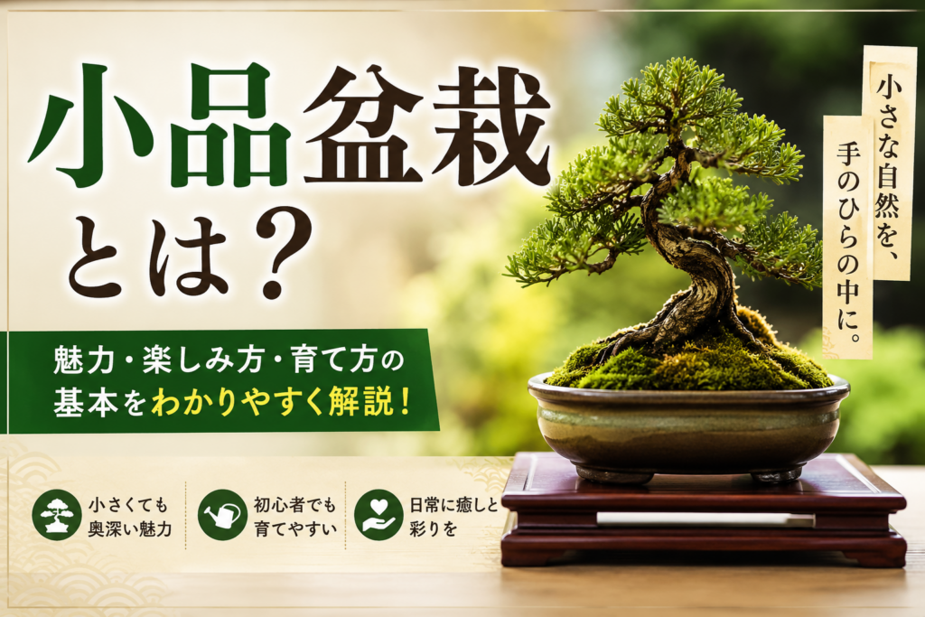 小品盆栽とは