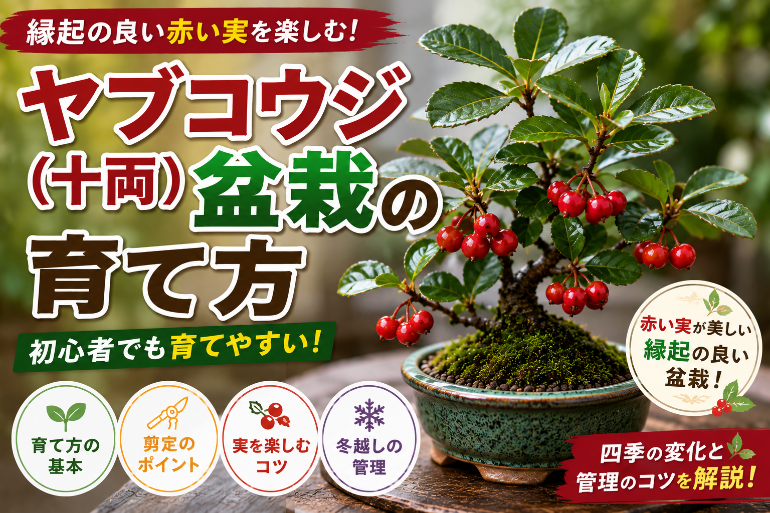 ヤブコウジ（十両）盆栽の育て方