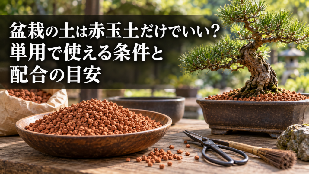 盆栽の土は赤玉土だけで育てる方法