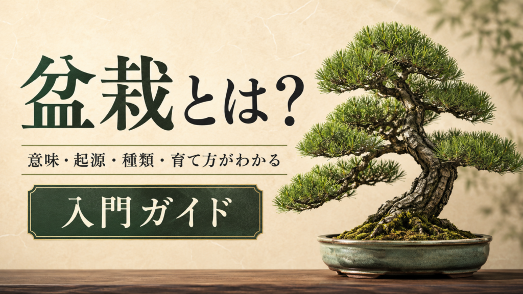 盆栽とは？意味・起源・種類・育て方がわかる入門ガイド