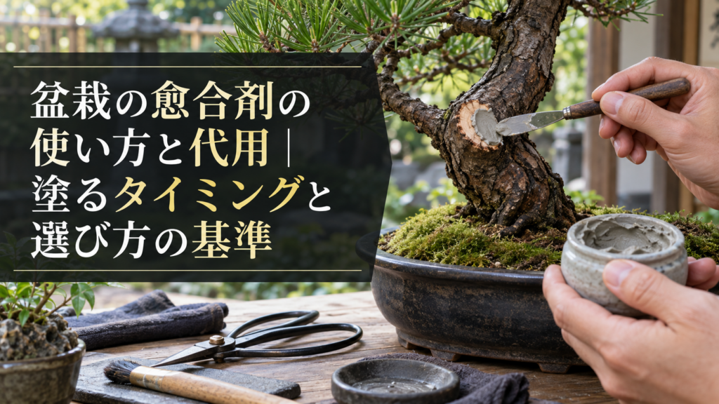 盆栽の癒合剤の使い方と代用品