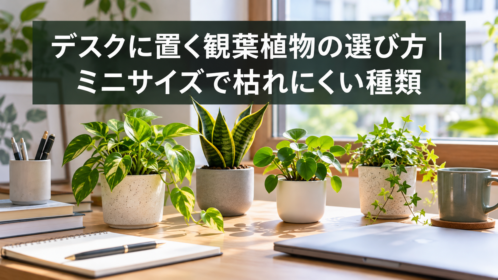 デスクに置くミニ観葉植物の選び方