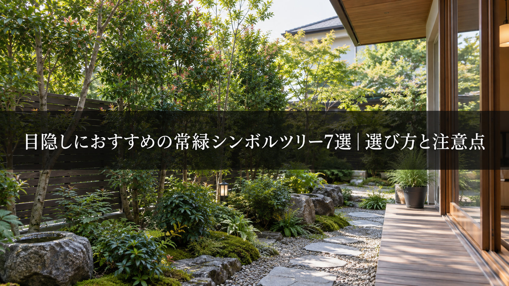 目隠しに使う常緑シンボルツリー