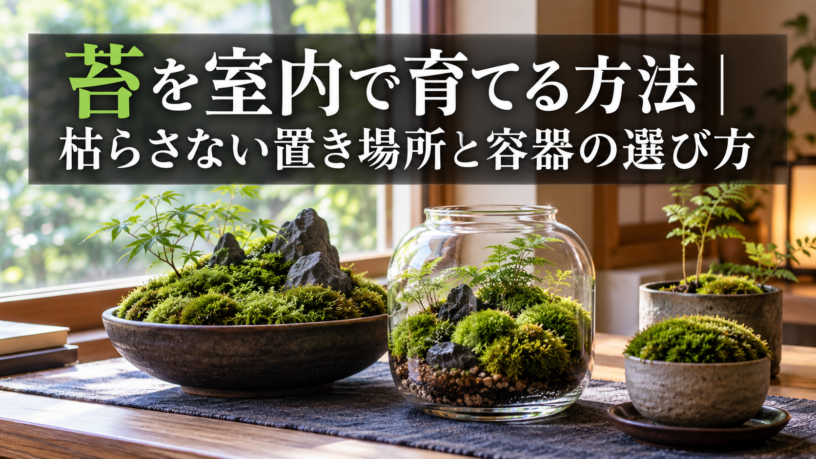苔を室内で枯らさず育てる置き場所と容器