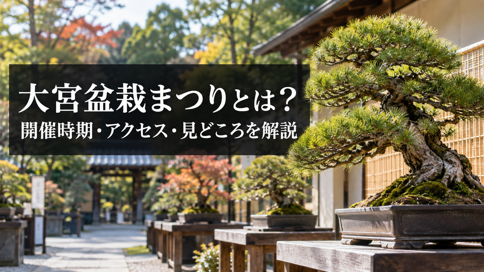 国風盆栽展の開催時期とチケット情報