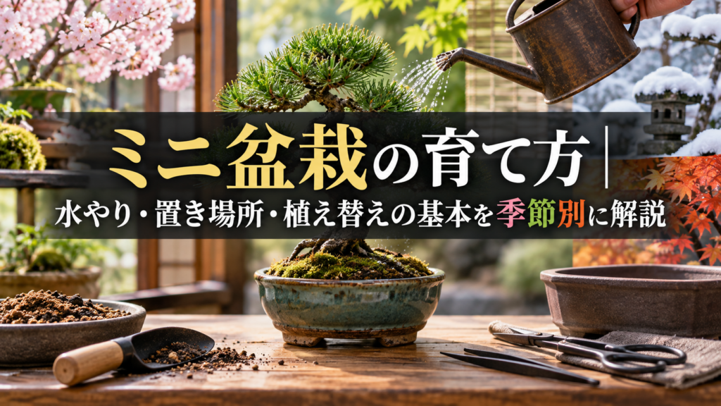 ミニ盆栽の水やり・置き場所・植え替え