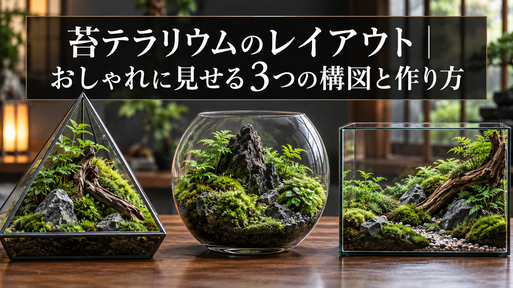 苔テラリウムのおしゃれな3つの構図