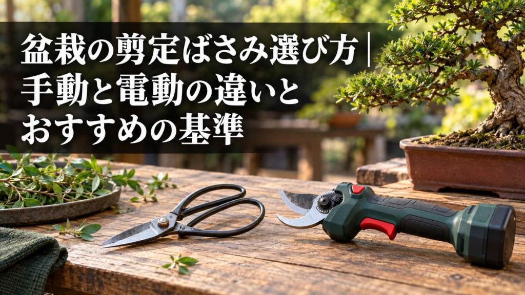 盆栽の活力剤と液体肥料の違い（メネデール・ハイポネックス）