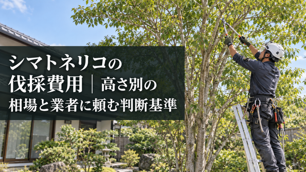 シマトネリコの伐採費用の相場