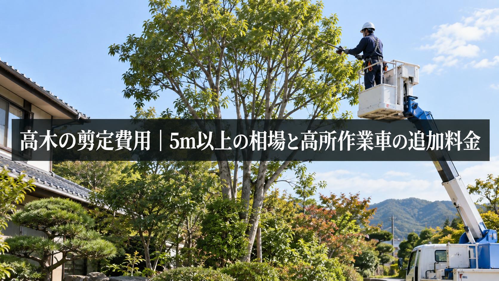 5m以上の高木の剪定費用の相場