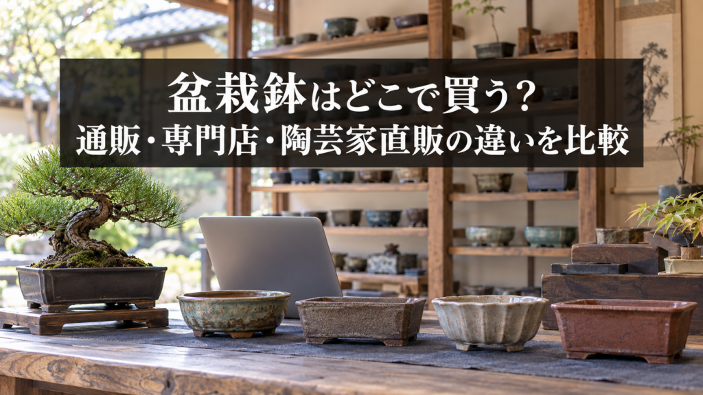 盆栽鉢の購入先の比較