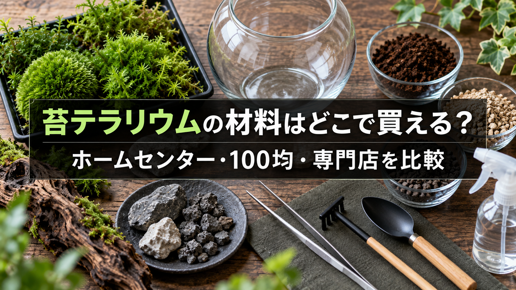 苔テラリウムの材料を買える店の比較
