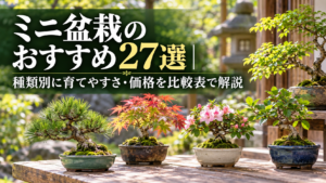 黒松やもみじなど種類別に比べるミニ盆栽のおすすめ