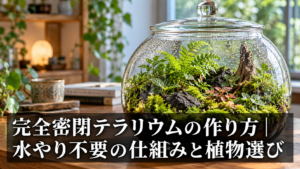 完全密閉ガラス容器で育つテラリウムの作り方