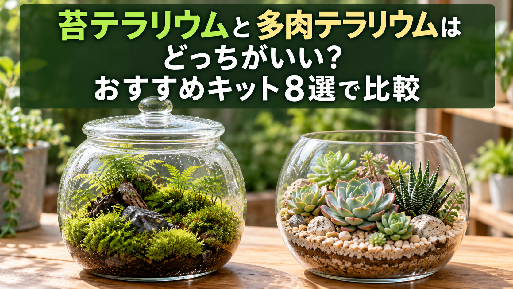 苔テラリウムと多肉テラリウムのキット比較